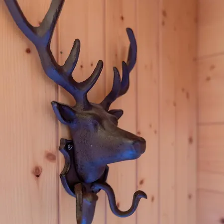 The Stag's By Luxury *