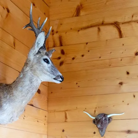 Domek alpejski The Stag's By Luxury