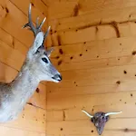 Chalet The Stag's By Luxury