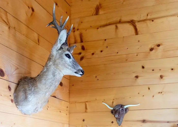 Dağ evi The Stag's By Luxury